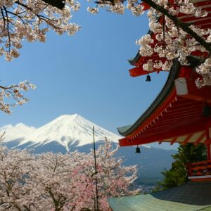 El Susurro del Sakura: Un Viaje a Japón - 14 Días