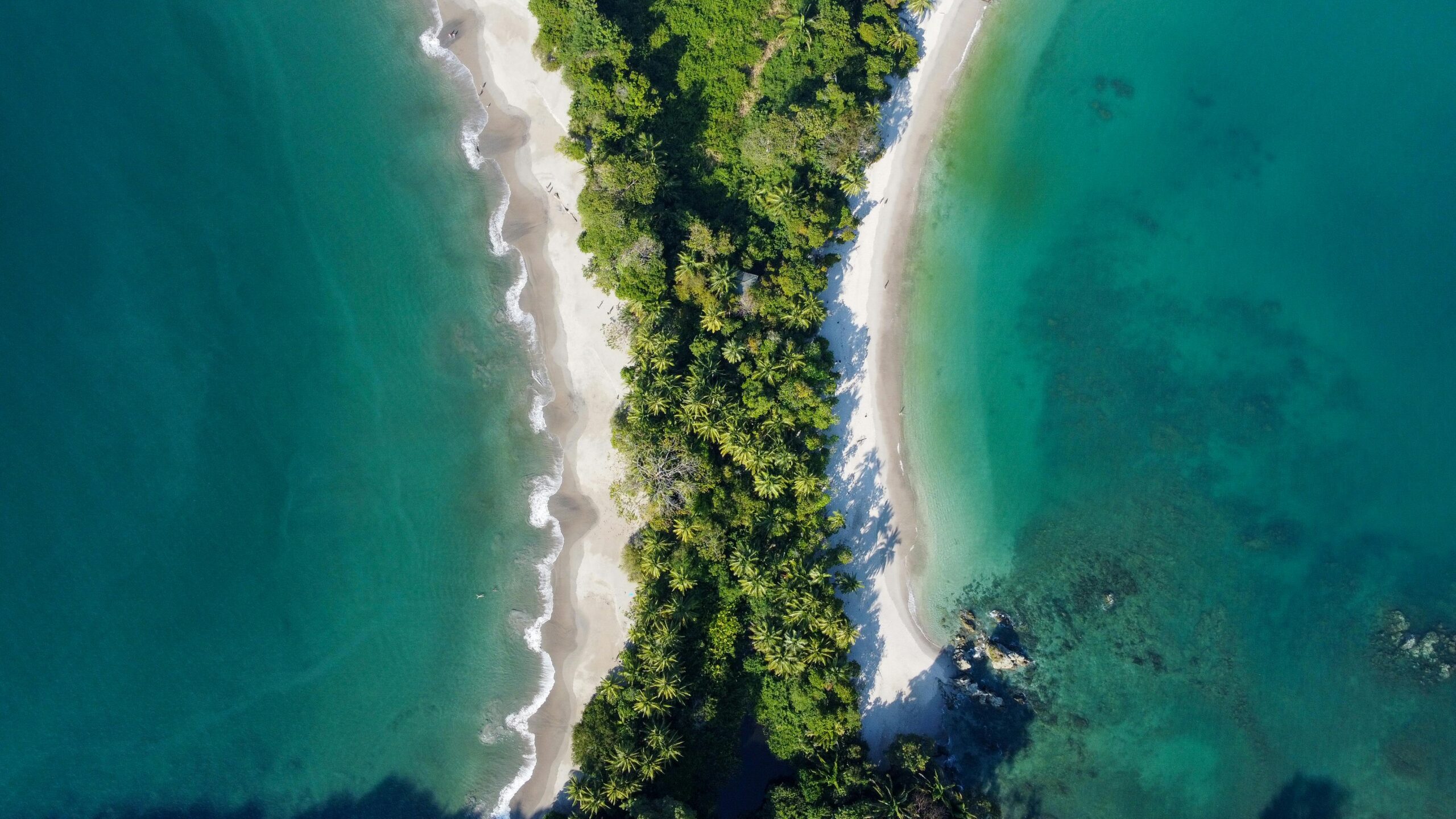 Expedición Costa Rica: Selva, Volcanes y Pacífico - Imaxe 8