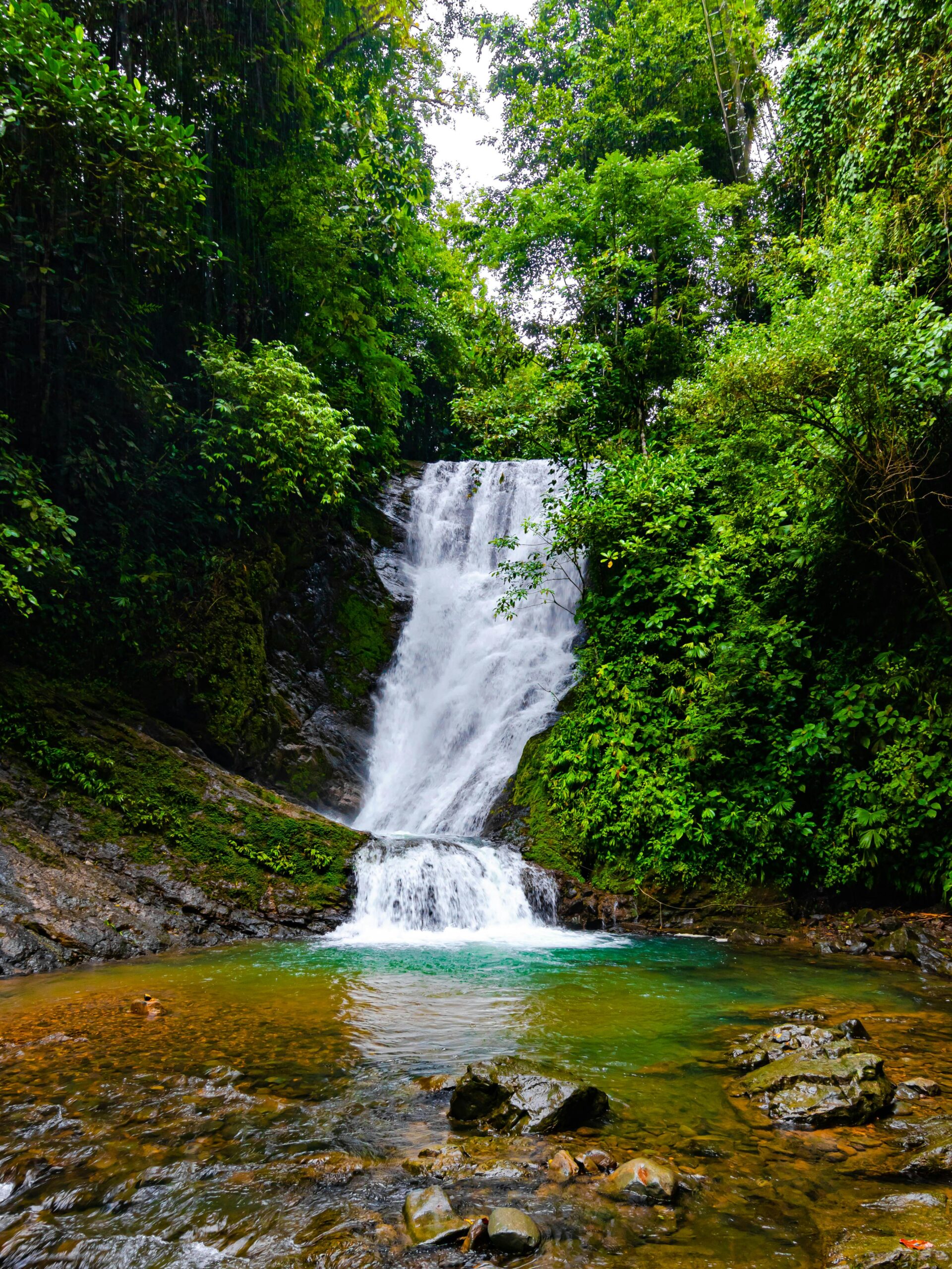 Expedición Costa Rica: Selva, Volcanes y Pacífico - Imaxe 10