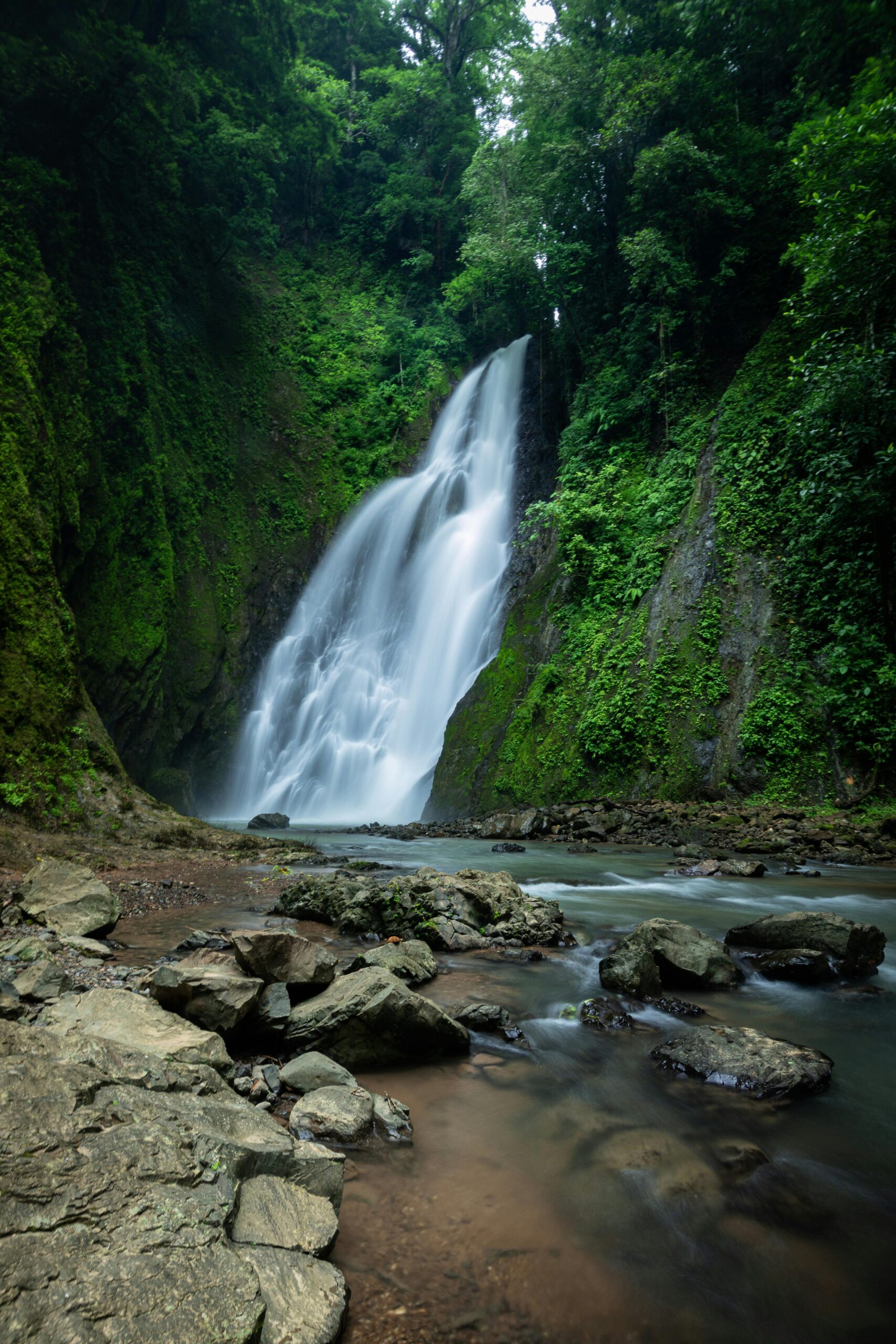 Expedición Costa Rica: Selva, Volcanes y Pacífico - Imaxe 4