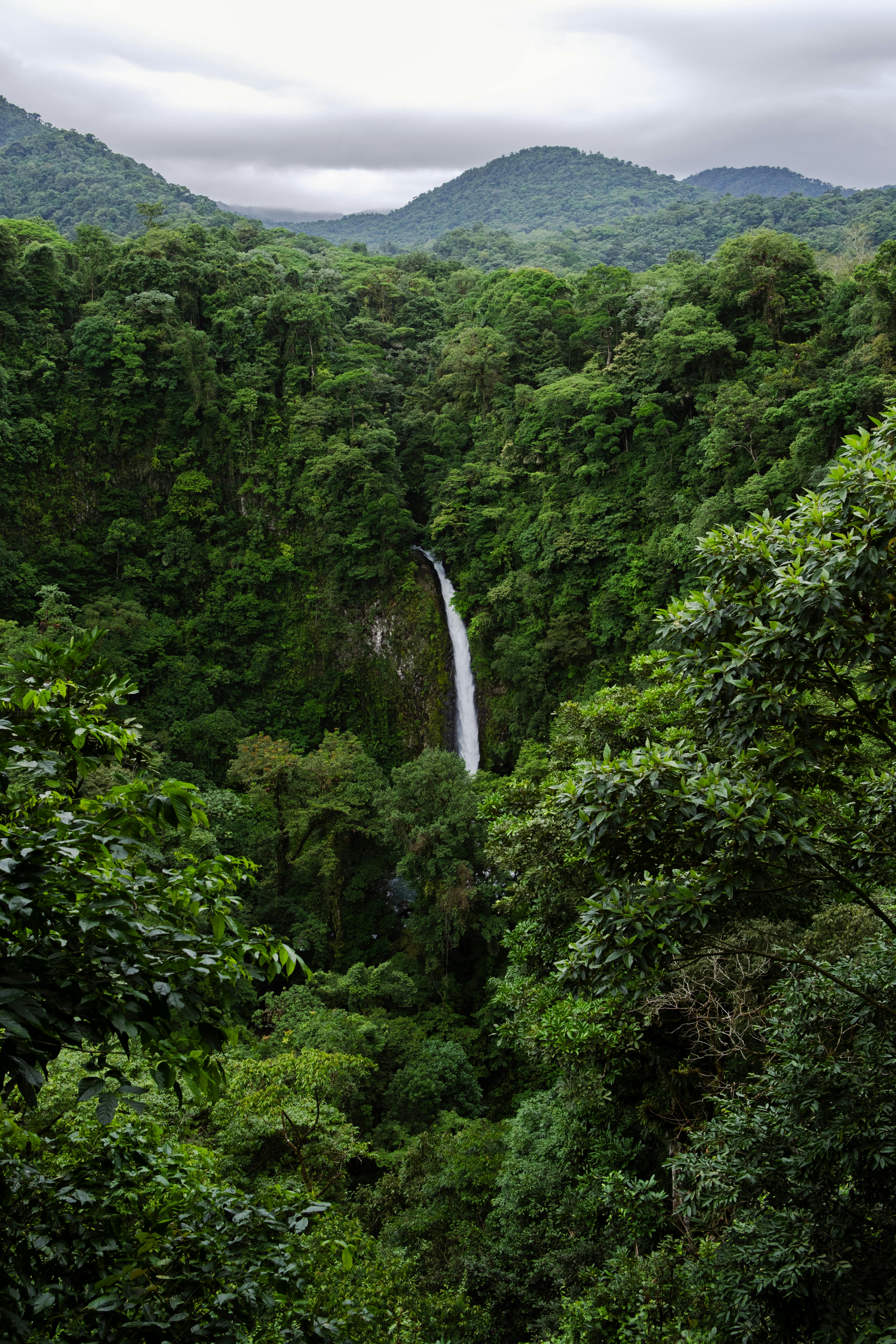 Expedición Costa Rica: Selva, Volcanes y Pacífico - Imaxe 9