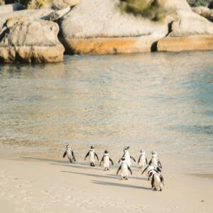 Ciudad del Cabo, Sudáfrica